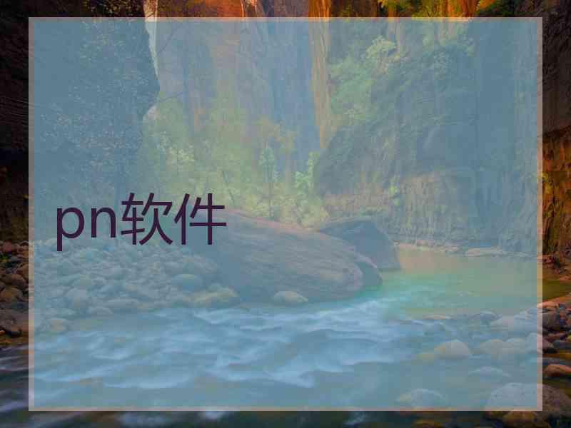 pn软件