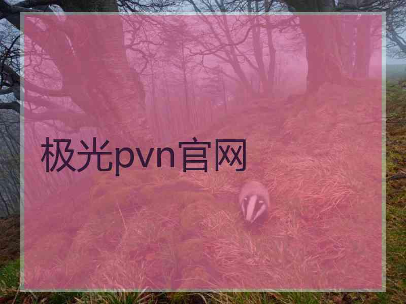 极光pvn官网 极光pvn官网