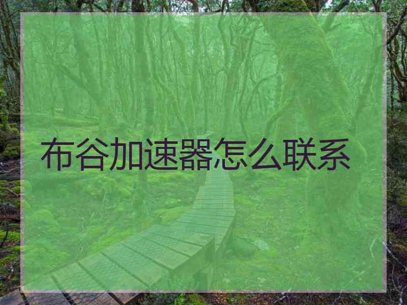 布谷加速器怎么联系