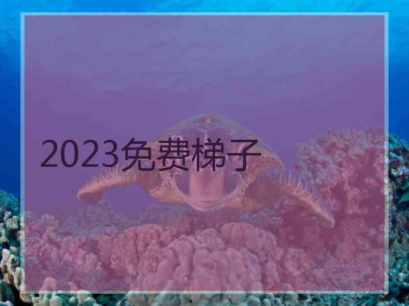 2023免费梯子