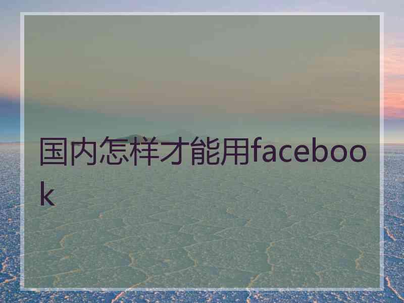 国内怎样才能用facebook