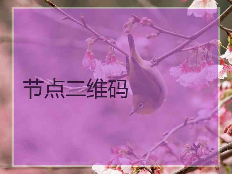 节点二维码