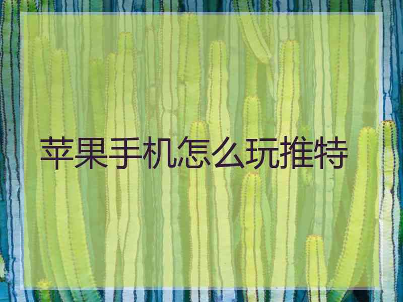 苹果手机怎么玩推特