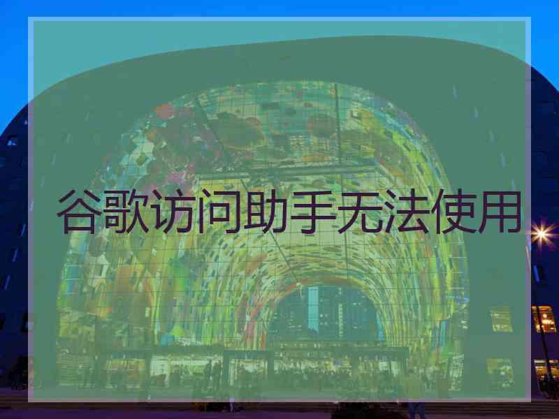 谷歌访问助手无法使用