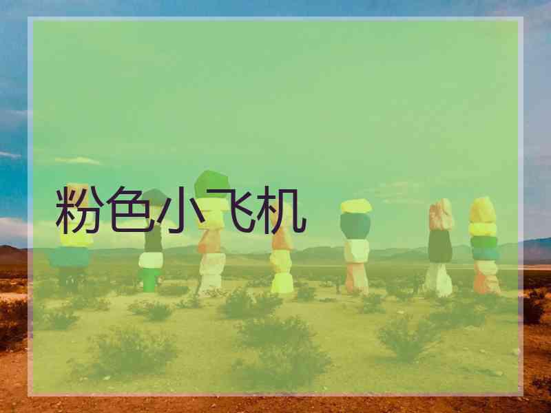 粉色小飞机