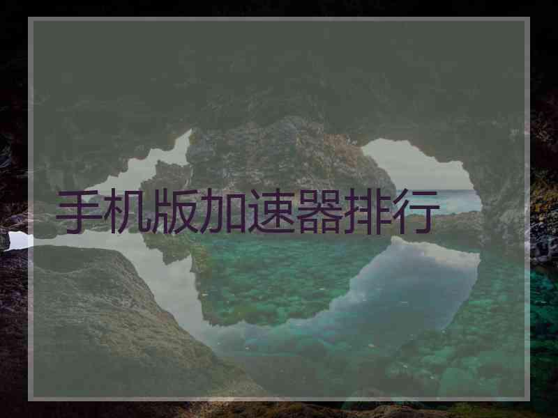 手机版加速器排行