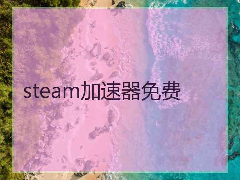 steam加速器免费