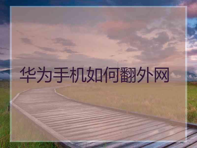 华为手机如何翻外网